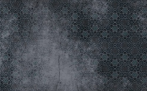 49165e76848505c7ae66697628ba9285