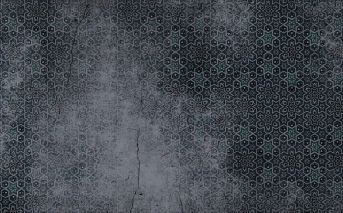 49165e76848505c7ae66697628ba9285
