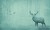 714c7b8da299995cc4d991a18804ece5