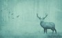 714c7b8da299995cc4d991a18804ece5