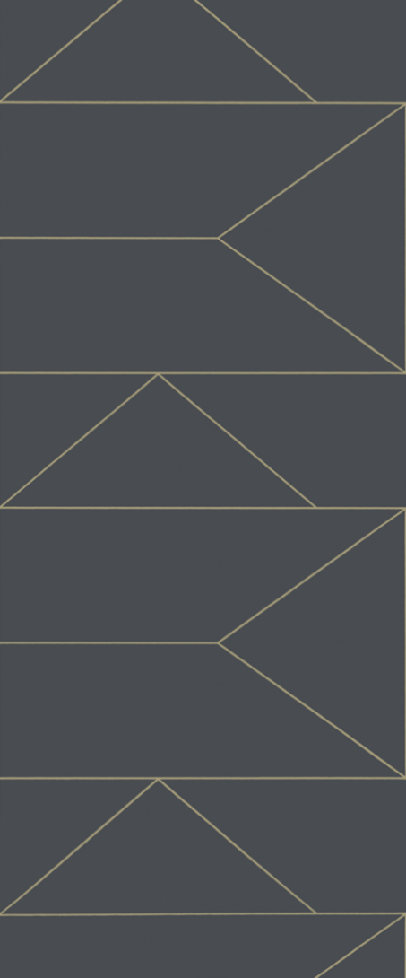Tapeta Ferm LIVING - Lines Wallpaper - Graphite 100372723 Linie