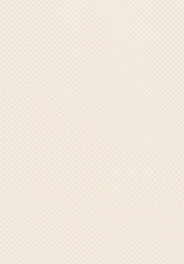 Tapeta Thibaut Geometric Resource T1810