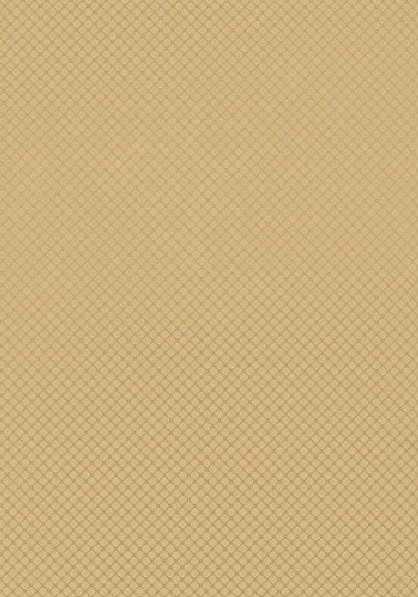 Tapeta Thibaut Geometric Resource T1813
