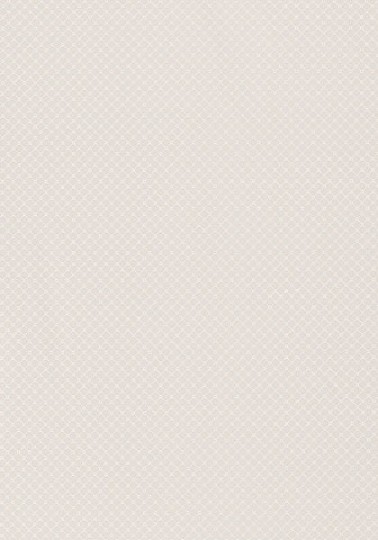 Tapeta Thibaut Geometric Resource T1814