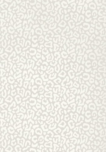 58ef2048a997ef39408251d77ce4bc13