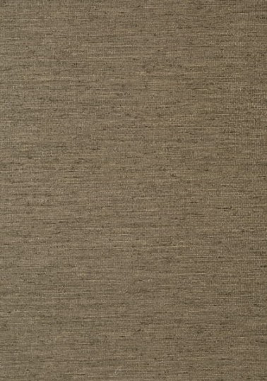 Tapeta Thibaut Texture Resource 5 T57180