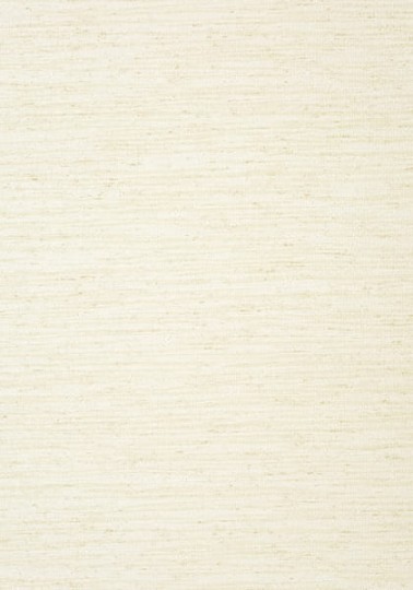 Tapeta Thibaut Texture Resource 5 T57183