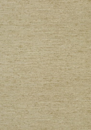 Tapeta Thibaut Texture Resource 5 T57186