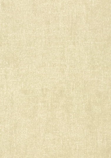 Tapeta Thibaut Texture Resource 5 T57121