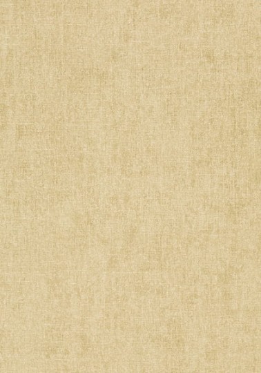 Tapeta Thibaut Texture Resource 5 T57122