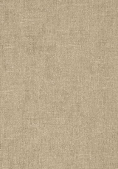 Tapeta Thibaut Texture Resource 5 T57126