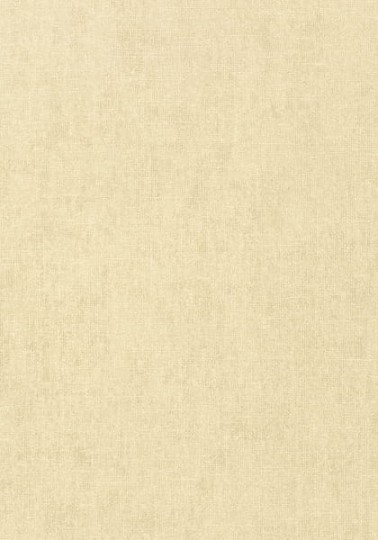Tapeta Thibaut Texture Resource 5 T57127