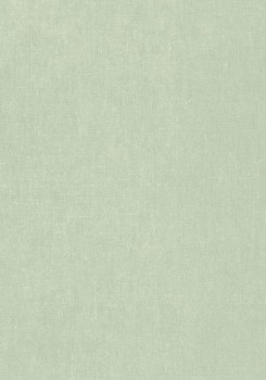 480dc4cb5f319579ceae64336156a7ab