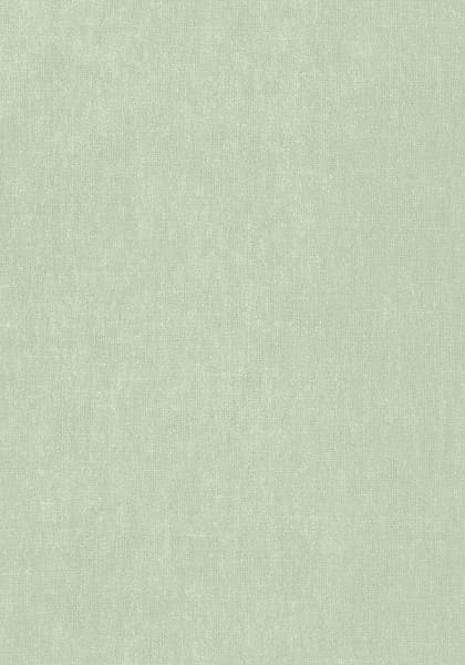 480dc4cb5f319579ceae64336156a7ab