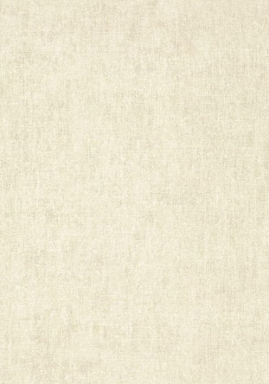 Tapeta Thibaut Texture Resource 5 T57137