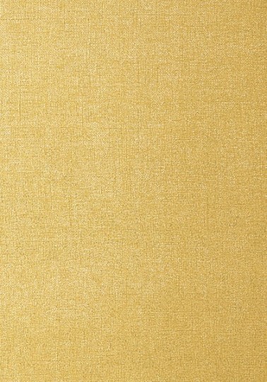 Tapeta Thibaut Texture Resource 5 T57139