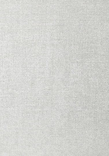 Tapeta Thibaut Texture Resource 5 T57138