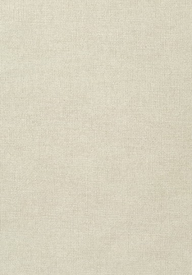 Tapeta Thibaut Texture Resource 5 T57141