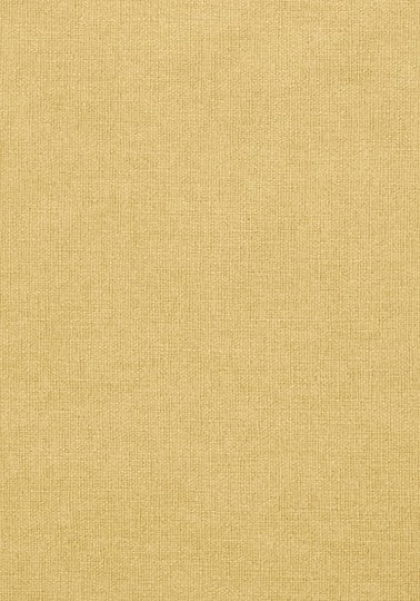 Tapeta Thibaut Texture Resource 5 T57144