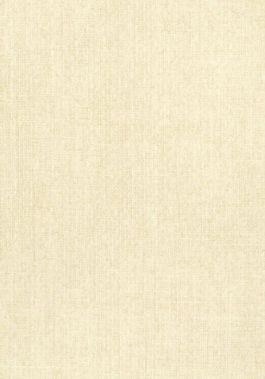 Tapeta Thibaut Texture Resource 5 T57106