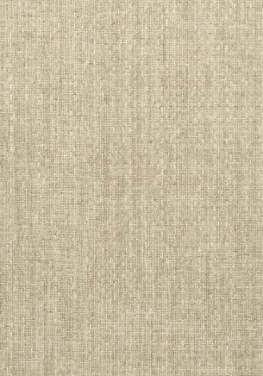 Tapeta Thibaut Texture Resource 5 T57107