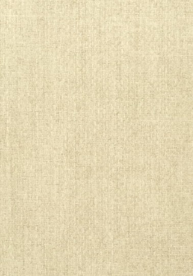Tapeta Thibaut Texture Resource 5 T57111
