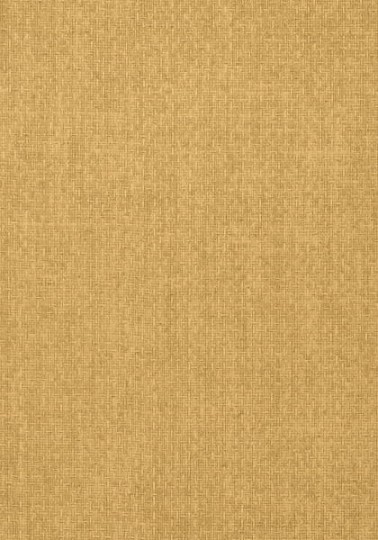 Tapeta Thibaut Texture Resource 5 T57113