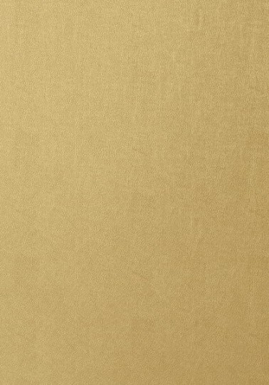 Tapeta Thibaut Texture Resource 5 T57161