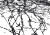 bf8a1c5ee6b2b5c296b95ebbd6110919
