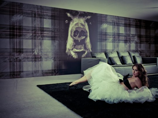 Fototapeta Wall & Deco Contemporary 2011 Big Fish GPW1121