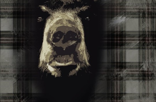 Fototapeta Wall & Deco Contemporary 2011 Big Fish GPW1122