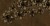 5fb0a07ce071aefd2b0be11138ae717c