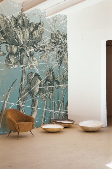 Fototapeta Wall & Deco Contemporary 2011 Herbarium WDHE1101