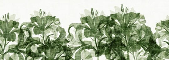 Fototapeta Wall & Deco Contemporary 2011 Smell Like WDSL1102