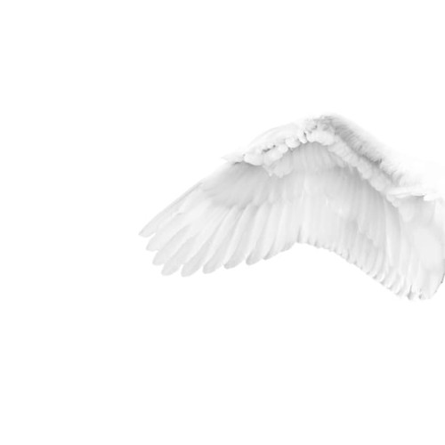 2a2e123f7abfcda39e2302e24bc2edac
