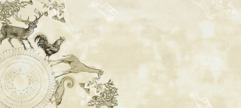 fb301cbe7c4bbff3bb83d694b3a1cd04