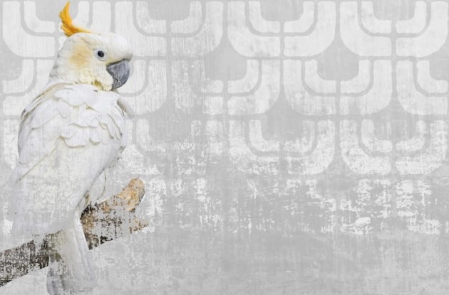 Fototapeta Wall & Deco Contemporary 2013 Cockatoo GPW1304