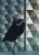 d6ddf690d0849750dfde1adf4d5ccc75
