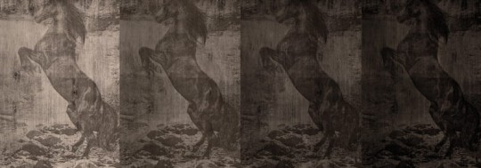 Fototapeta Wall & Deco Contemporary 2013 El caballo de Andy WDEC1302