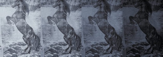 Fototapeta Wall & Deco Contemporary 2013 El caballo de Andy WDEC1303