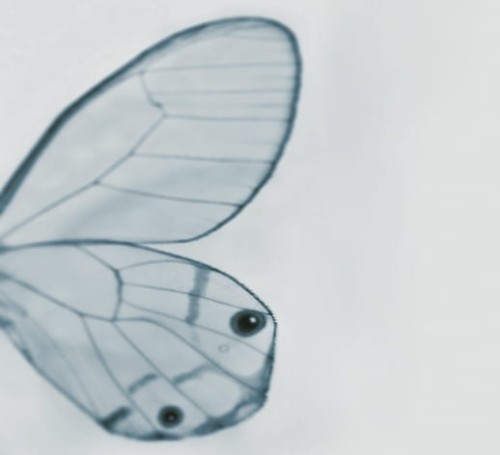dd2891d64037474662b11ab03515dc70