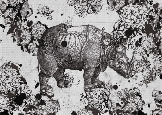 Fototapeta Wall & Deco Contemporary 2013 Wunderkammer WDWU1301 Nosorożec