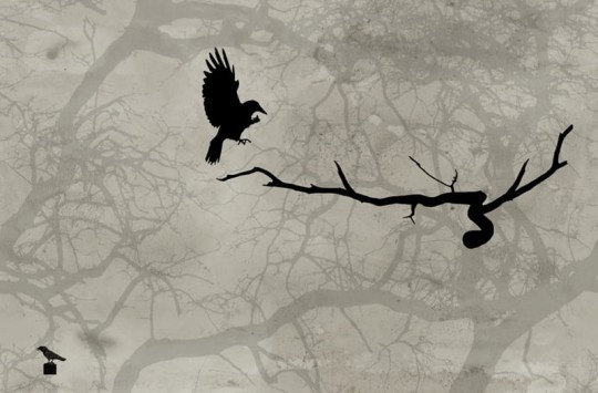 Fototapeta Wall & Deco Contemporary 2014 Crow GPW1416