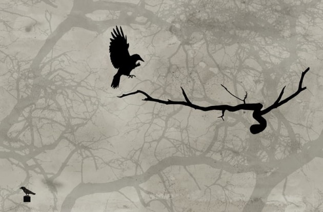 Fototapeta Wall & Deco Contemporary 2014 Crow GPW1416