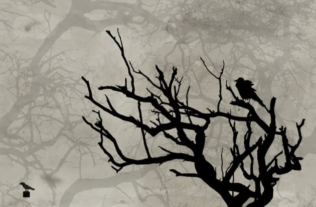 Fototapeta Wall & Deco Contemporary 2014 Crow GPW1417