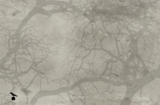 Fototapeta Wall & Deco Contemporary 2014 Crow GPW1418