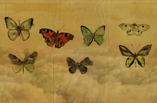 Fototapeta Wall & Deco Contemporary 2014 Butterflies GPW1434