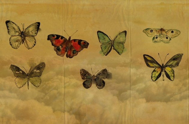 Fototapeta Wall & Deco Contemporary 2014 Butterflies GPW1434