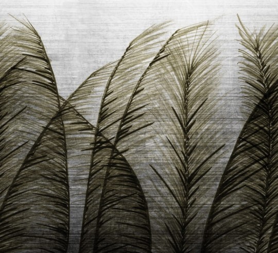 Fototapeta Wall & Deco Contemporary 2014 Golden Wind WDGW1403