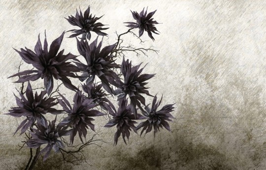 Fototapeta Wall & Deco Contemporary 2014 Silver Blossom WDSB1401
